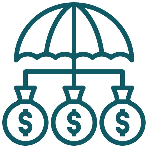 Wealth Protection